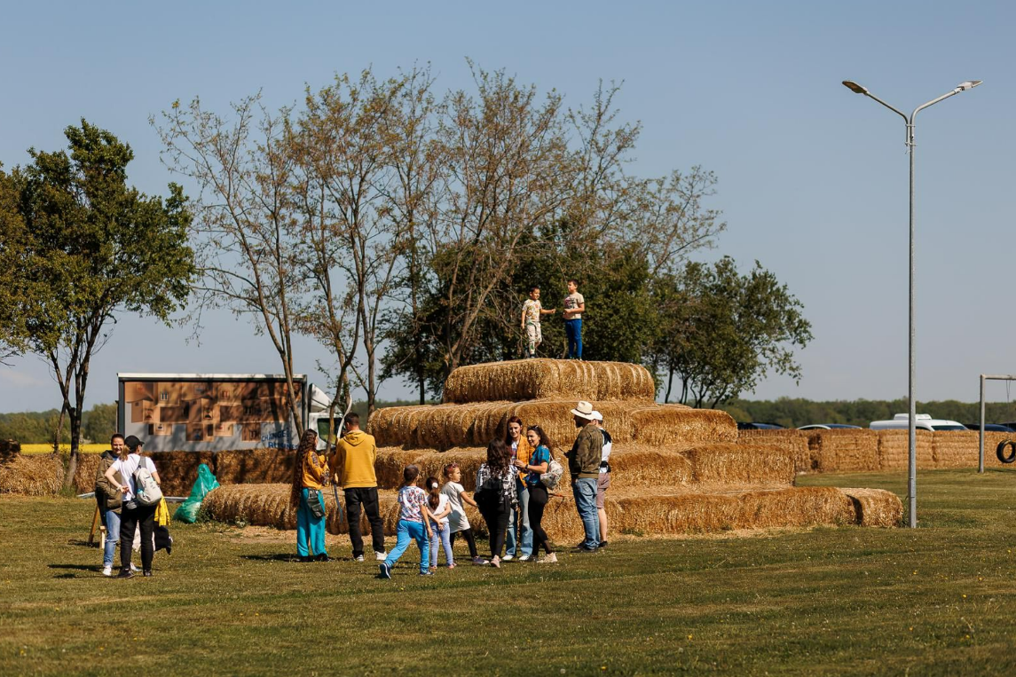 Camping La Arțar