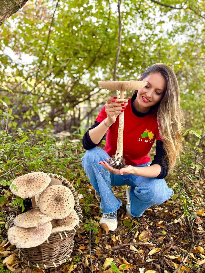 Pădurea Coarnelor